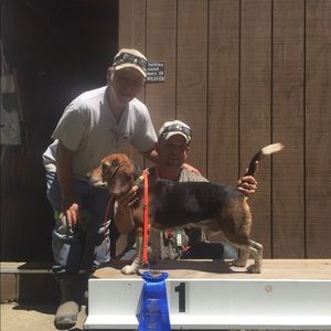 Meet your Posher, Norman